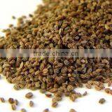 Celery Seeds