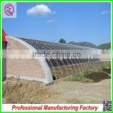 Double Layer High Tunnel Plastic Film Greenhouses for Flower/vegetable Growing thumbnail-3