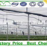 Poly Tunnel Greenhouses Manufacture Supplier thumbnail-6