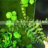 Home and Outdoor Garden Edging Christmas Decoration 60cm or 24inches Height Artificial Small Grass for Green Wall E04 1053 thumbnail-3