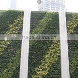 Lifelike Beautiful Artificial Plant Wall For Landscaping