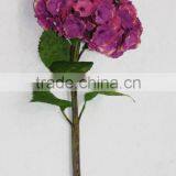Purple Single Hydrangea With Coated thumbnail-1