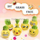 Mini Garden Growing Grass Hair Toy Growing Grass Head Toys 002-2(ceramic Colour Glaze) thumbnail-2