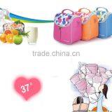 Ice Cooler Bag/cheap Cooler Bag/cooler Bag for Frozen Food thumbnail-2