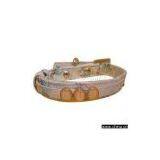 Pet Leash thumbnail-1