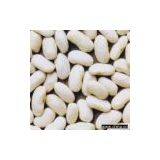 Sell White Kidney Beans of Long Shape thumbnail-1