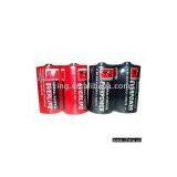 Ever Power R20 Batteries thumbnail-1