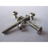 Stainless Steel Screw thumbnail-3