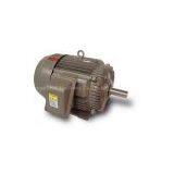 Toshiba Three Phase High Low Votage Motor thumbnail-1