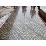 UNOPLEX FILM FACED PLYWOOD. MR GLUE, POPLAR CORE, BROWN PRINTED FILM thumbnail-3