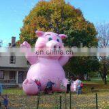 Inflatable Cartoon Pig