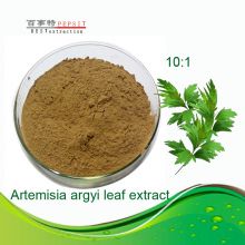 BEST Artemisia argyi leaf extract