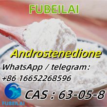 By scientific process  CAS : 63-05-8 Androste-nedione    FUBEILAI whatsapp/telegram: +86 16652268596