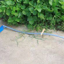 487d5328bf438846c547eb1a8cf015cd_