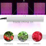 Companies Looking for Partners CE RoHS Approved Cheap Square 45W 225 Hans Panel LED Grow Light for Veg Fruit Bloom Lights thumbnail-5