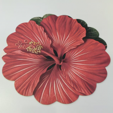 Absorbent -water Standing Printable Kichen Rugs thumbnail-5