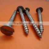 Bugle Head Black Phosphated Drywall Screws Factory