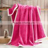 Hot Selling Polyester Blanket Soft Blanket