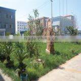 Tianjin OTS Valve Manufacturing Co., Ltd. company overview - view 2 thumbnail