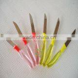 99 Cent Store Plastic Handle Fruit Knife Set