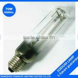 70W tubular sodium vapor lamp