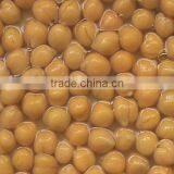 Canned Chik Peas thumbnail-5