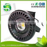 Unique Design Outdoor IP65 High Power 50w 60w 80w 100w Gas Station Led Light