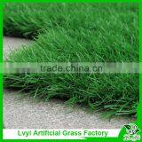 Plastic Grass Mat in Roll/artificial Turf Grass/synthetic Grass for Soccer Fields thumbnail-4