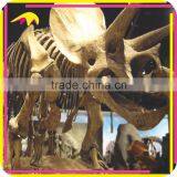 KANO2196 Museum Standard Artificial Life Size Animal Skeleton thumbnail-6