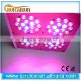 Reflector Led Grow Light 300w Light Full Spectrum Led Grow Lights Plant Tissue Culture Led Grow Light thumbnail-1