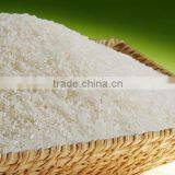 White Rice Japonica GOOD QUALITY/website:hanfimex08/Viber/Whatsaap:+84965152844 thumbnail-3