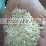 INDIAN SELLA LONG GRAIN RICE IR 36/64 thumbnail-2