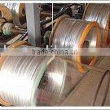 Electro galvanized iron wire