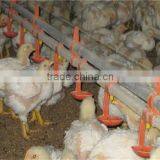 Automatic Chicken Watering Equipment