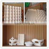 Highly Qualified Pulp Paper Egg Tray Machine thumbnail-1