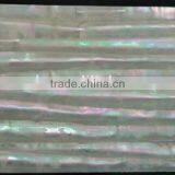 Straight Stripe Pattern Turbo Marmoratus Shell Laminates