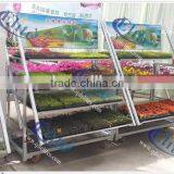 59 Display Flower Trolley,2014 Display Flower Trolley, Garden Tool Cart thumbnail-5