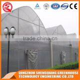 China Direct Plastic Greenhouse for Agricultural Farming thumbnail-2