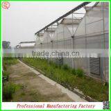 Low Cost Arched Type Multi-span Vegetable Greenhouses With Hydroponics System thumbnail-2