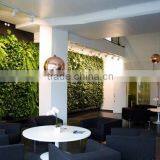 CHY040816 Artificial Green Wall in Garden Oranment Plastic Vertical Plants thumbnail-3