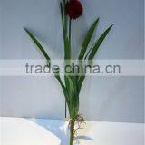 Home and Outdoor Garden Table Wedding Gate Decoration 60cm or 24inches H Artificial Fake Hands Yellow Onion Flowers E04 0607 thumbnail-3