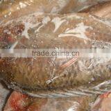 Frozen Whole Round Tilapia thumbnail-5