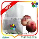 Taiwan Factory Peach Fruit Protection Paper Bags for Food Packaging thumbnail-1