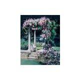 Sell Studio Flash Lamps And Photography Equipment (China (Mainland)) thumbnail-1