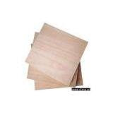 Sell Poplar Core, Okoume Plywood thumbnail-1