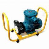 AC Ex-Proof Transfer Pump thumbnail-1