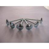 Roofing Nail/ Umbrella Nail/galvanized Nail