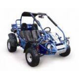 Hammerhead GTS 250 Dune Buggy thumbnail-2