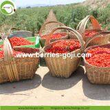 Factory For Sale Dried Conventional Goji Berry thumbnail-2