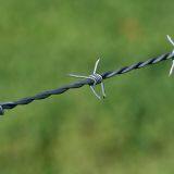 Hot Dipped Galvanized Barbed Wire Security Fence